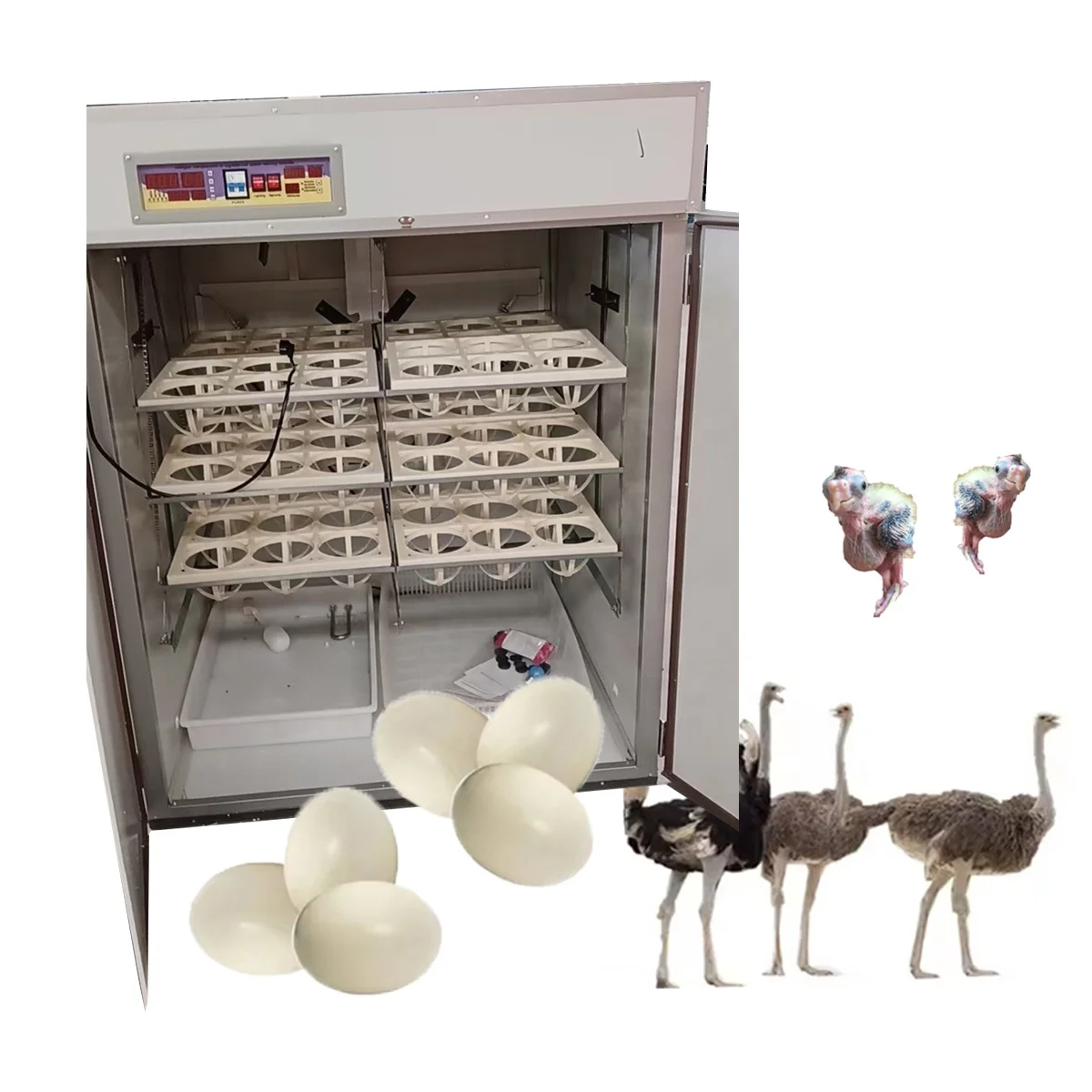 72 capacity ostrich egg solution incubator machine