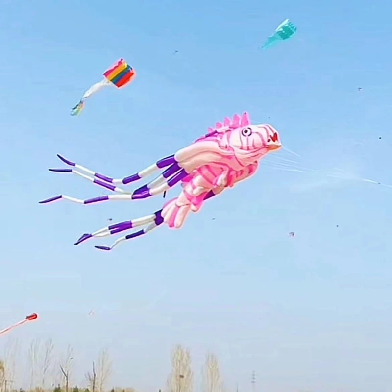 จัดส่งฟรีใหม่ kites จี้ kites แสดงบินปลา kites windsocks Inflatables kites octopus kites ปีกผีเสื้อ kevlar