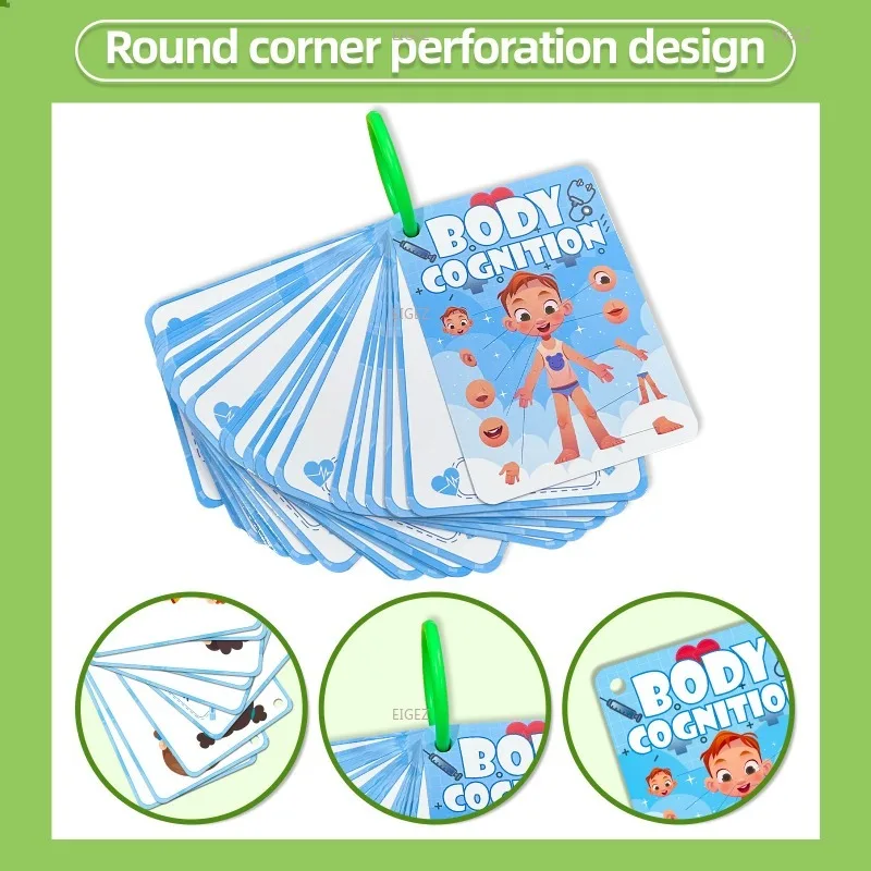 Flash Card 36 Body Cognitive Cards Cross Border Hot Sale Children's Enlightenment Education Puzzle Cognitive Card Education