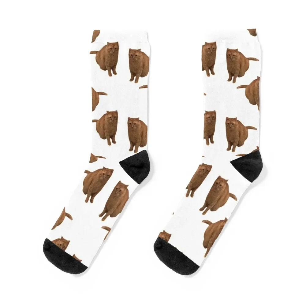 Jonesy 2 Socks christmas stocking cartoon new year Socks For Girls Men's