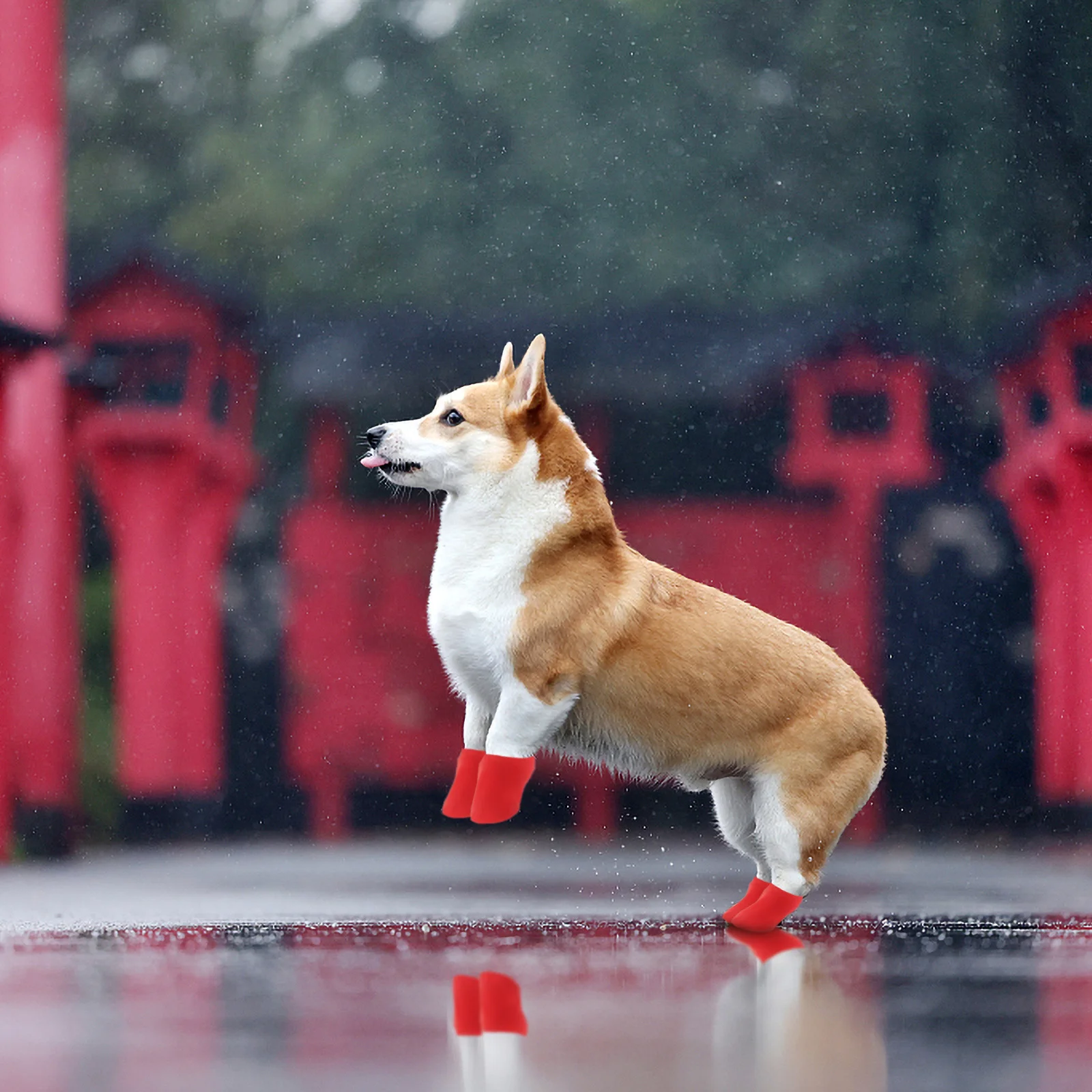 

4 Pcs Waterproof Dog Boots for Small Pets Rubber Rain Shoes Non Slip Sole Outdoor Puppy Shoe Covers Keep Feet Dry Clean Pet