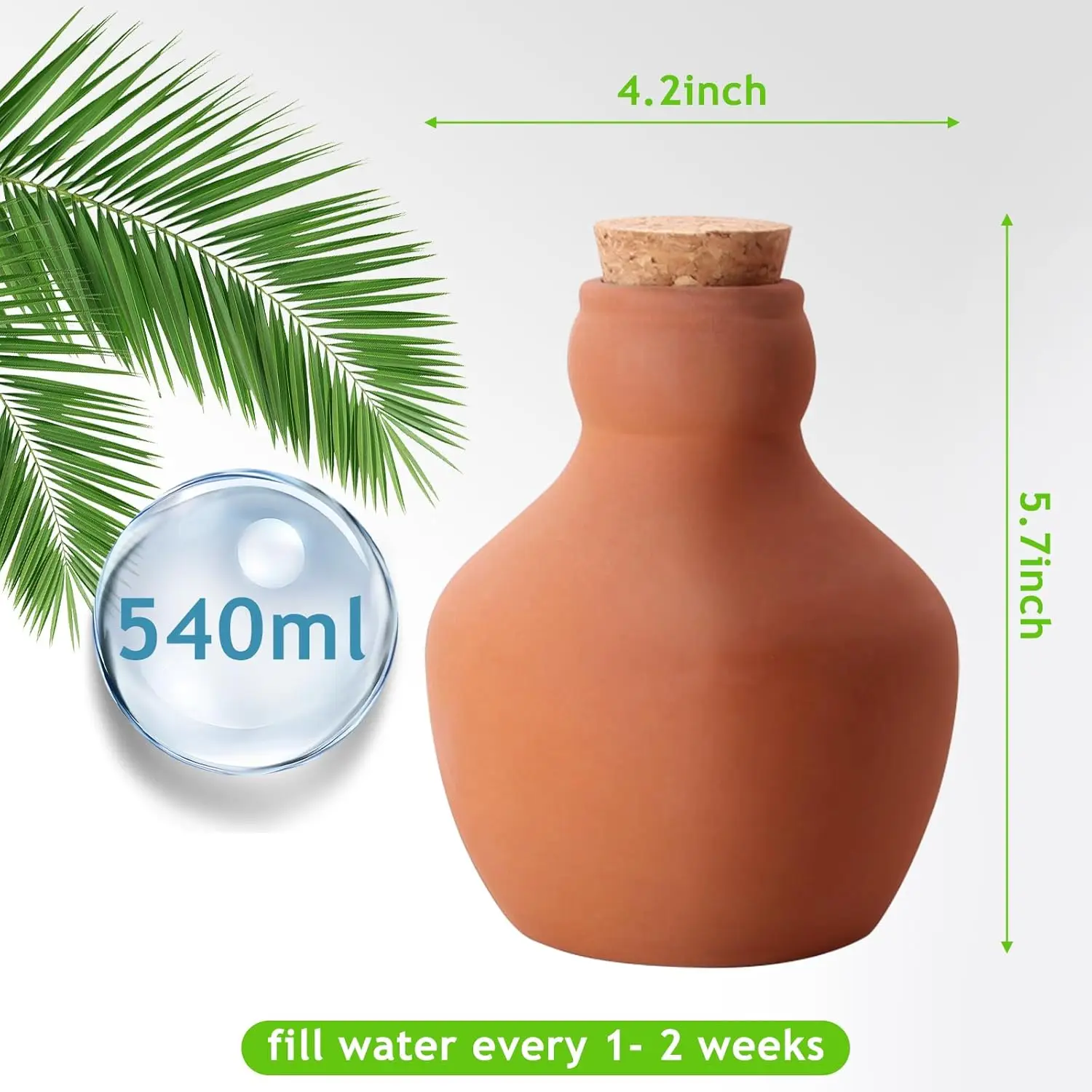 Thumbnail 2 - #2 Compare Watering Globes Before You Buy
