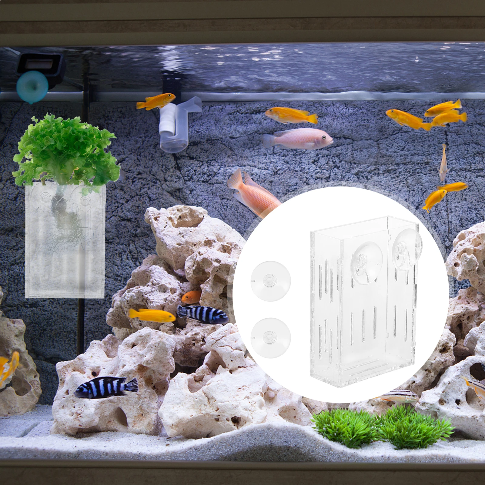 

Suction Cup Aquatic Plant Holder Small Acrylic Decoration Coral Rack Plants Tray Pot Grass Aquarium Fish Tank Landscape