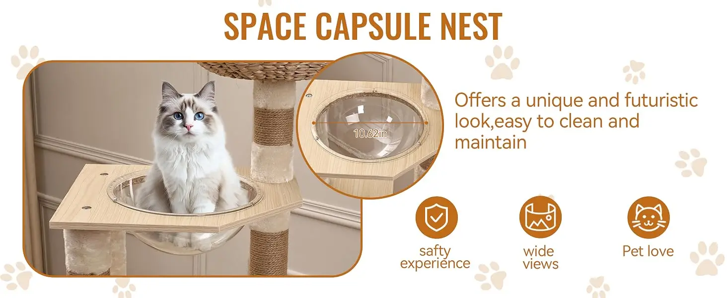 Litter Box Enclosure