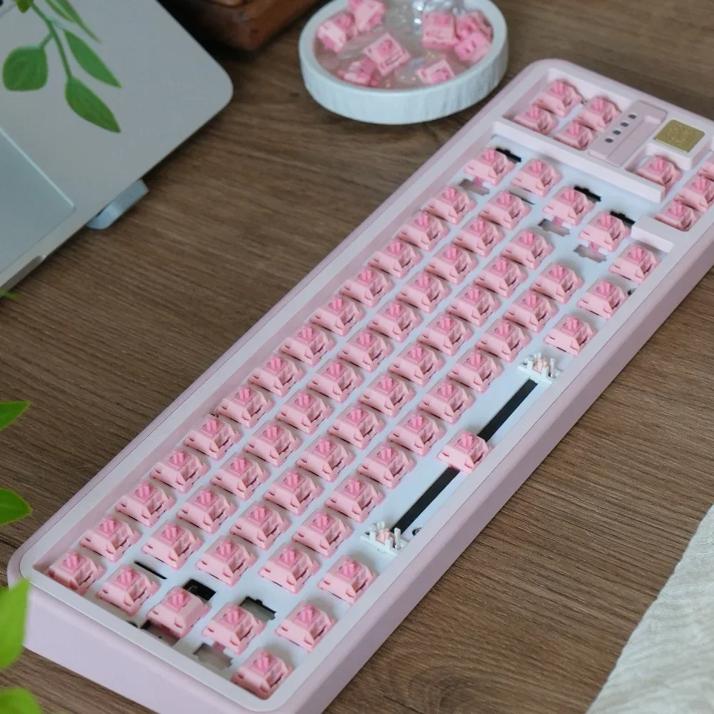 BSUN Cat Claw Pink Switch Mechanical Keyboard HotSwap Axis Customized Linear 5Pin Shaft Muffled Tone Dual Spring Light Pressure