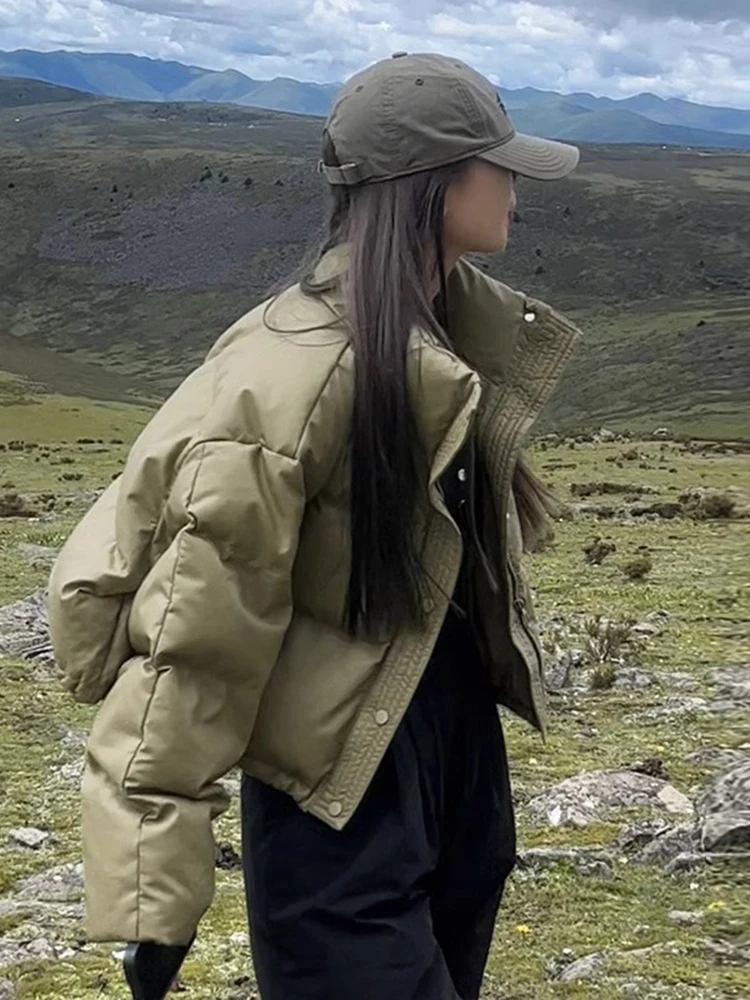 

Женская утепленная свободная куртка из хлопка и искусственной кожи, зимнее пальто без ворса, маленький размер, короткий фасон, модная, для повседневной носки