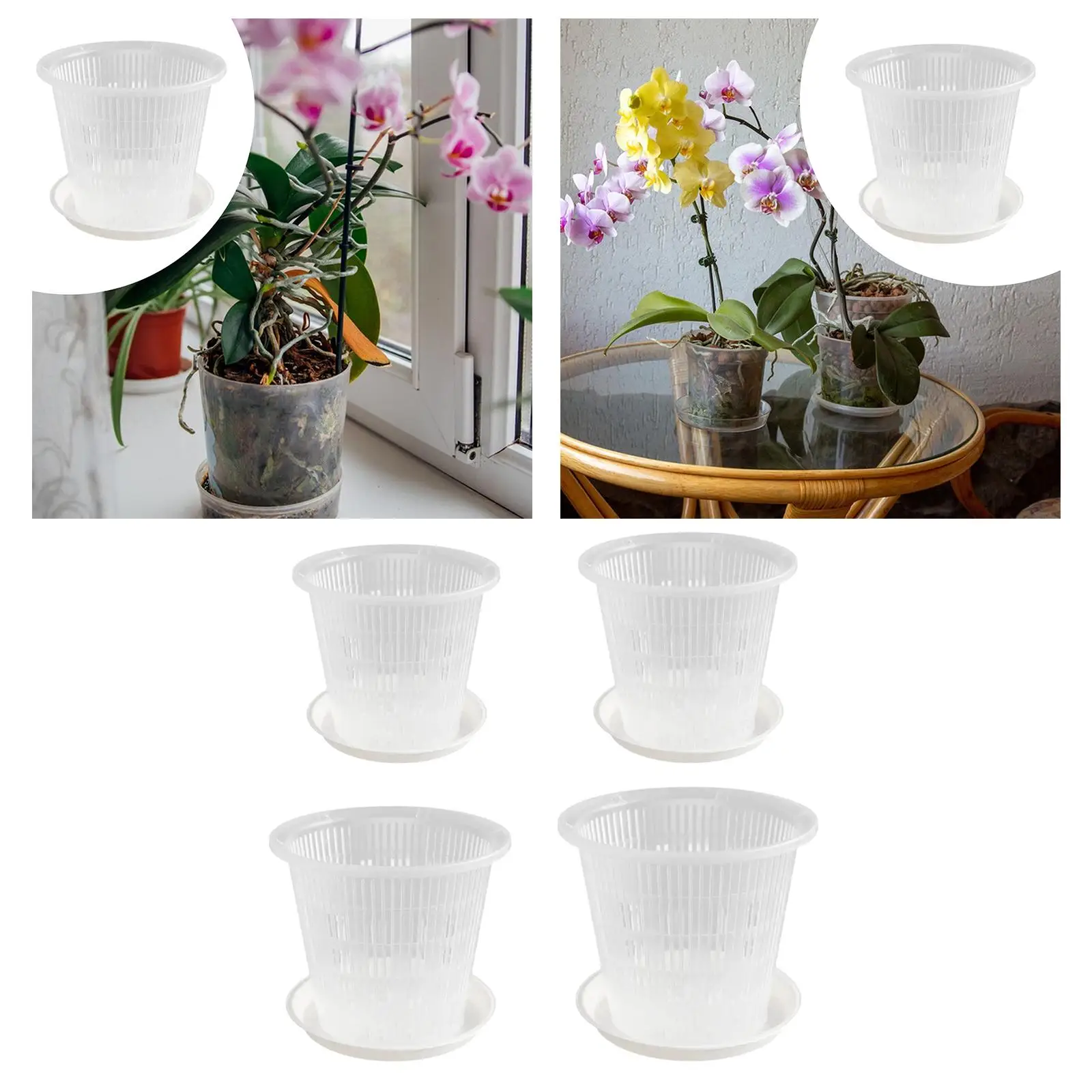 Orchid Pot Repotting Transparent Creative Flower Plant Container Breathable