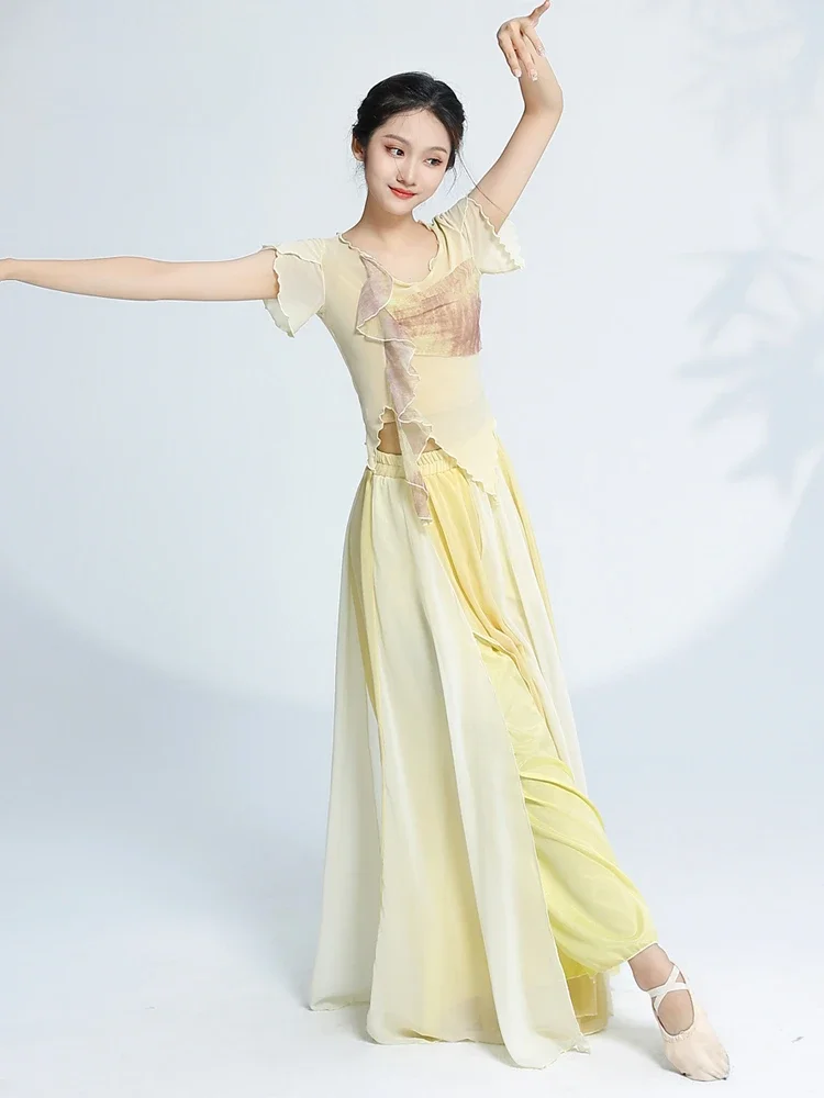

Classical Gauze Clothes Dancing Dress Exercise Clothing Women's Chinese Classic Dance Adult Top Body Charm Costume