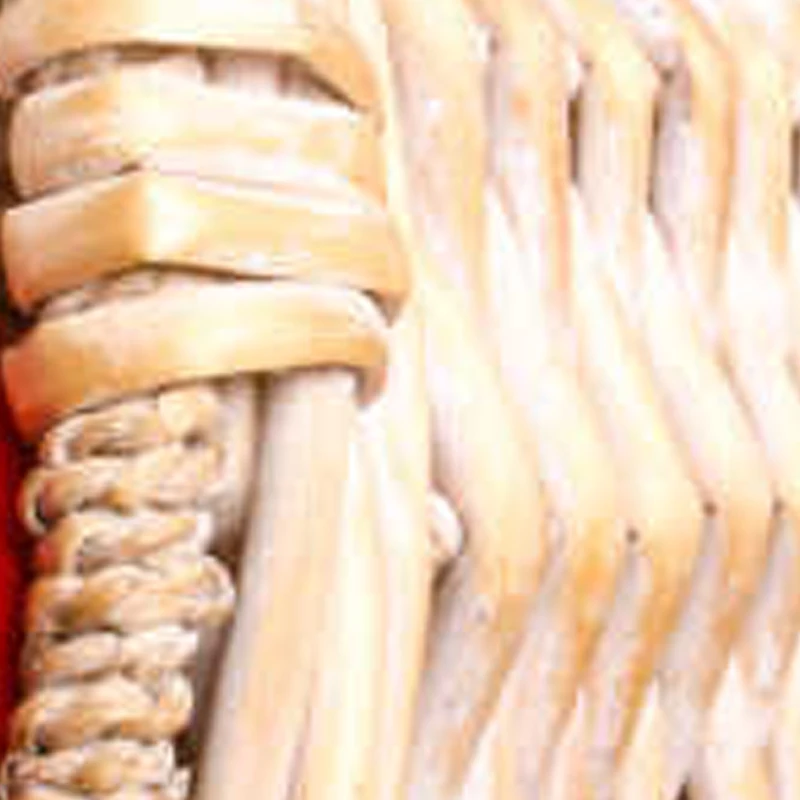 Summer Party Ice Ma…