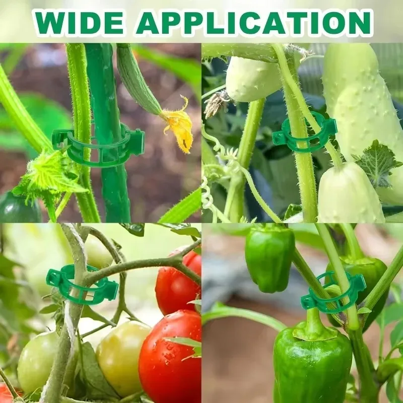 Klip Penopang Tanaman Klip Pengikat Pengikat Tanaman Rambat Taman Klip Pengikat Pengikat Tanaman Rambat Plastik Dapat Digunakan Kembali Penjepit Perlindungan Tanaman Rambat