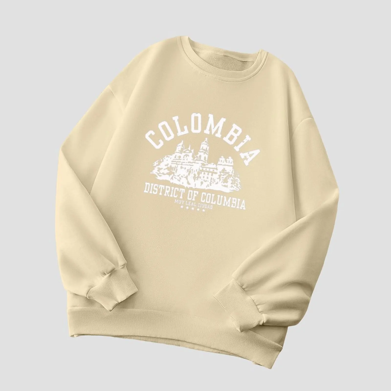 

Women's Round Neck Velvet Sweater Long Sleeve Printed Pullover Loose Fit Warm Fashion Casual Top For Autumn Winter Streetwear