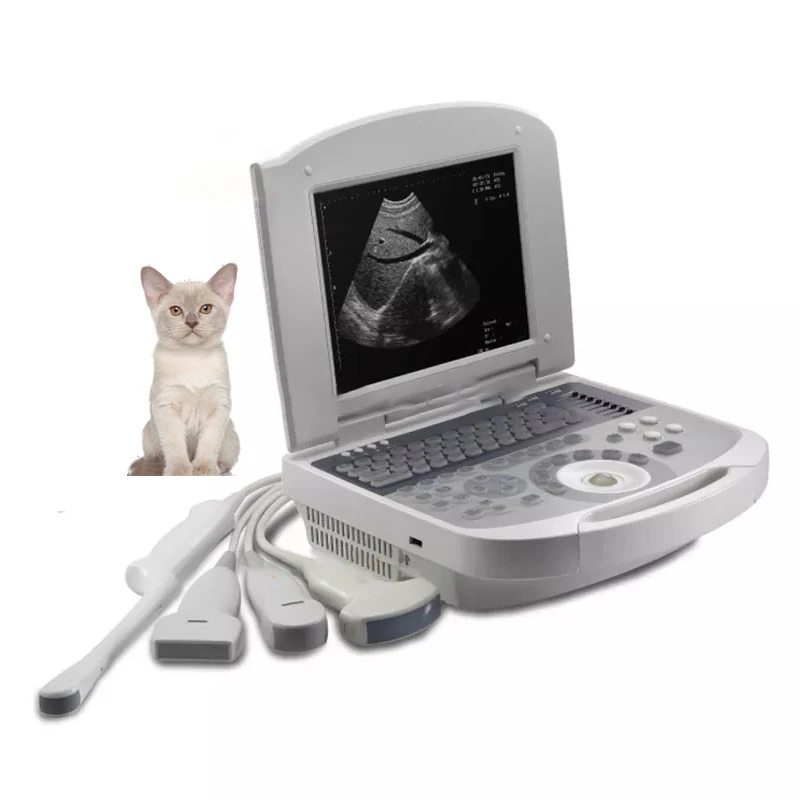 

EUR VET Factory Price Medical Portable Full Digital Black And White Ultrasound Machine Veterinary Instrument For Clinic