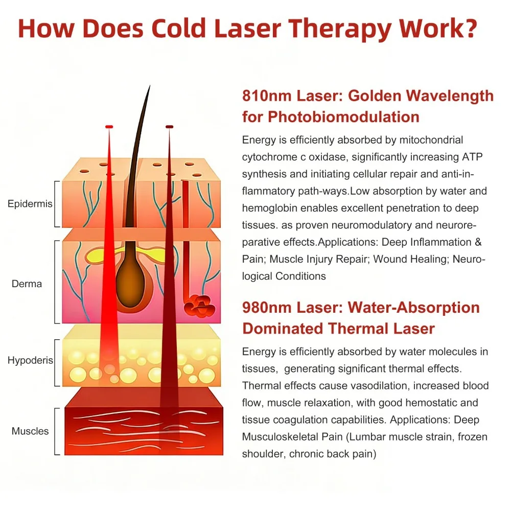 Dawfek 30W Class 4 Low Level Cold Laser Machine High Power for Animal Human Deep Tissue Pain Management Muscle Soreness Relief