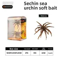 brown 2pcs