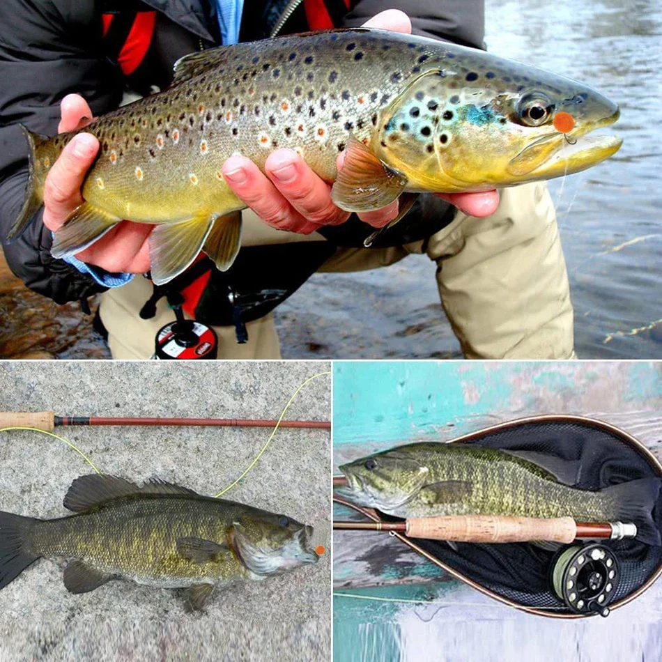 MNFT 10mm 50 Teile/schachtel Bug Ei Forelle Angeln Fliegen Materialien Multi-Farben Forelle Lachs Fliegen Fliegen angeln Lockt Binden Material – Detail 8
