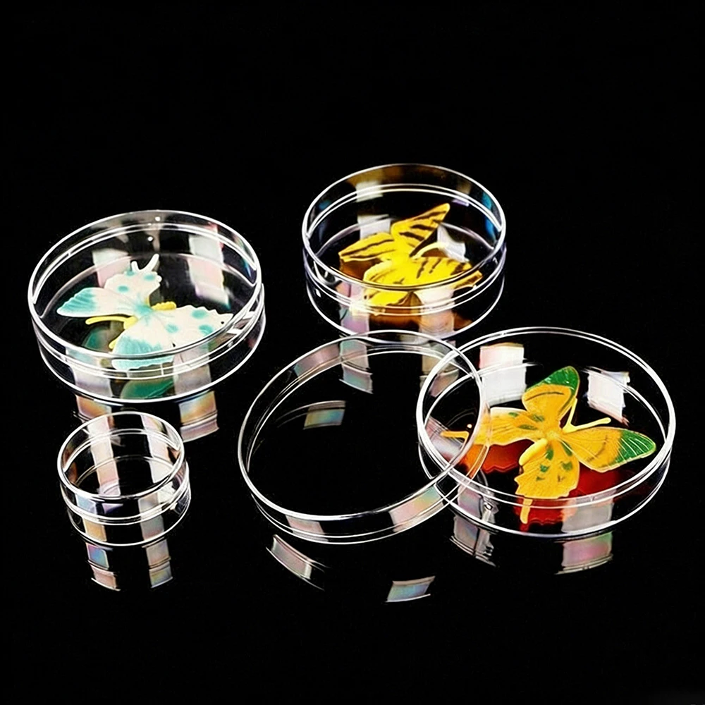 1-8Pcs Transparent Storage Box Food Grade Plastic Display Box Desktop Storage Storage Jewelry Packaging Sample Box