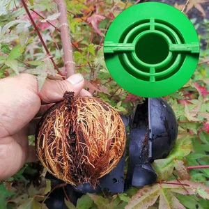 7 Hauptverkaufskugel Rooting - №2