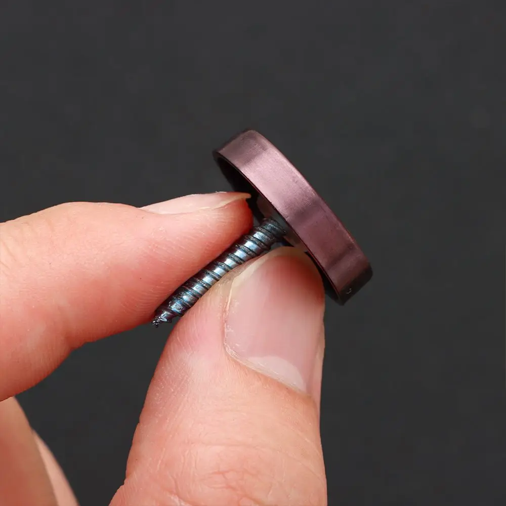 Stainless Steel Advertising Screws Nails Decoration Screw Covers Mirror Fixing Nails Mirror Fasteners Screws Decorative Cap