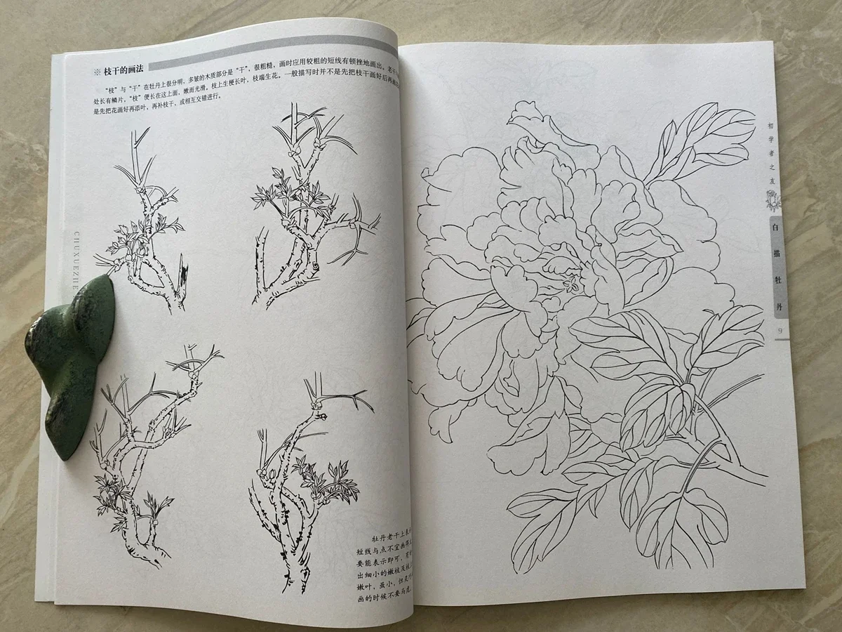 Chinese Painting Sumi-e Beginner Outline Sketch Tattoo Reference Book Peony Line Drawing
