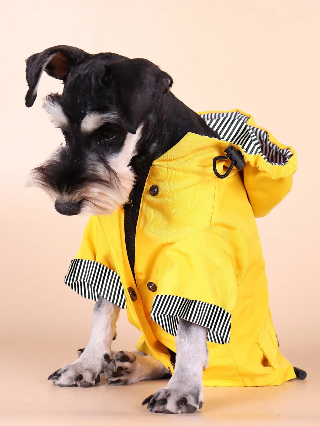 1pc Rainbow Striped Pet Raincoat, Waterproof Outdoor Pet Apparel