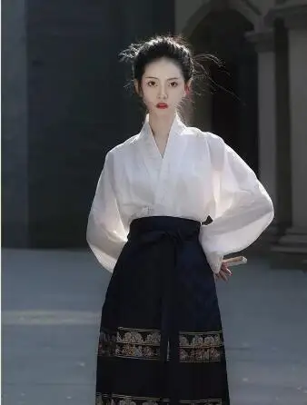 

Vintage Chinese Style Wide Sleeve Flowing Immortal Horse Face Skirt Unique Shirt Two Piece Set Skirt