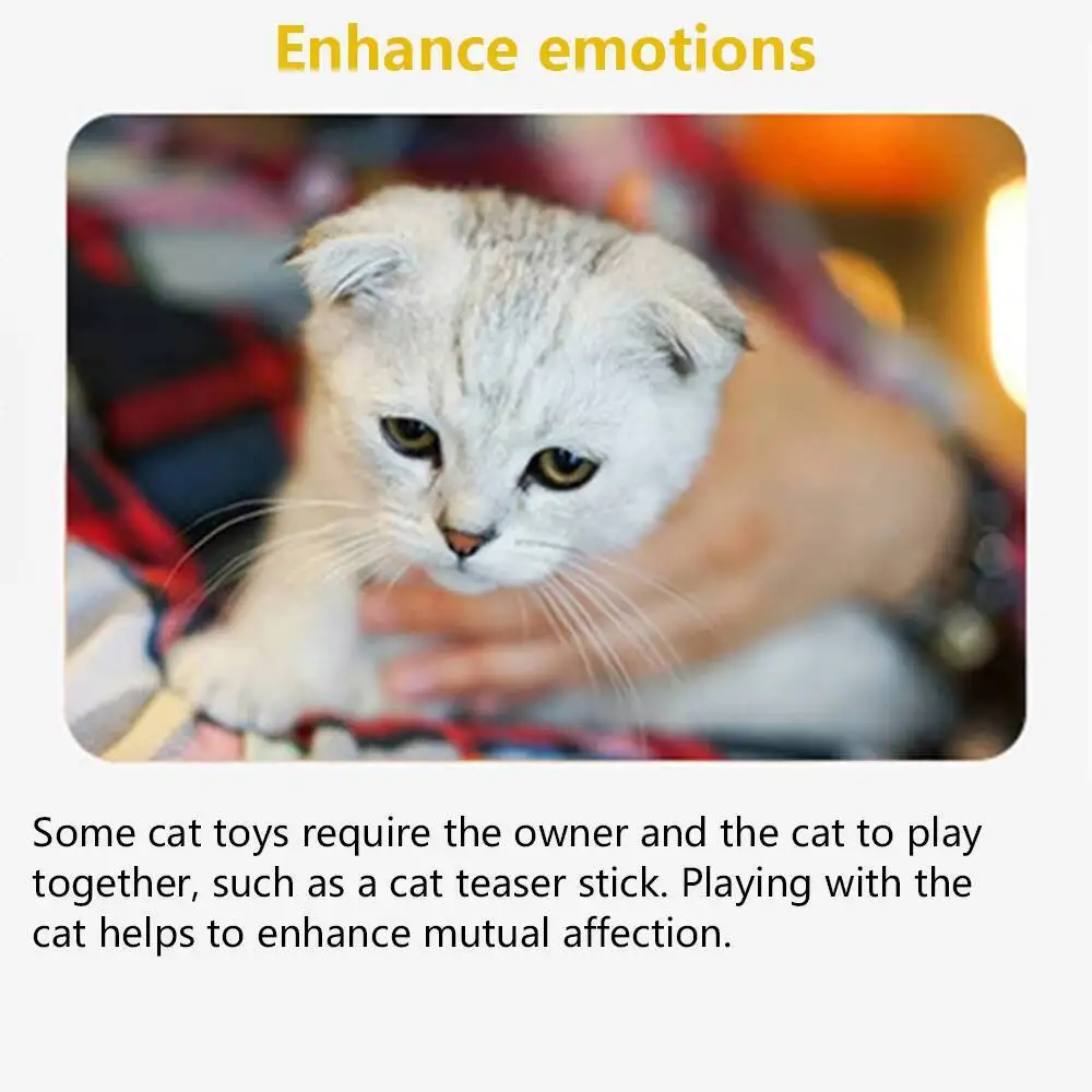 12 قطعة لعبة القط هريرة ريشة جرس عصا دعابة قضيب اللعب التفاعلي ألعاب الحيوانات الأليفة هدية