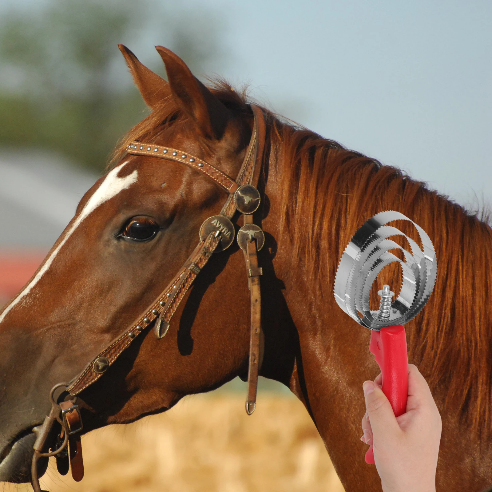 

2pcs Stainless Steel Horse Grooming Brush for Livestock Cattle Remove Loose Hair Improve Circulation Durable Plastic Design
