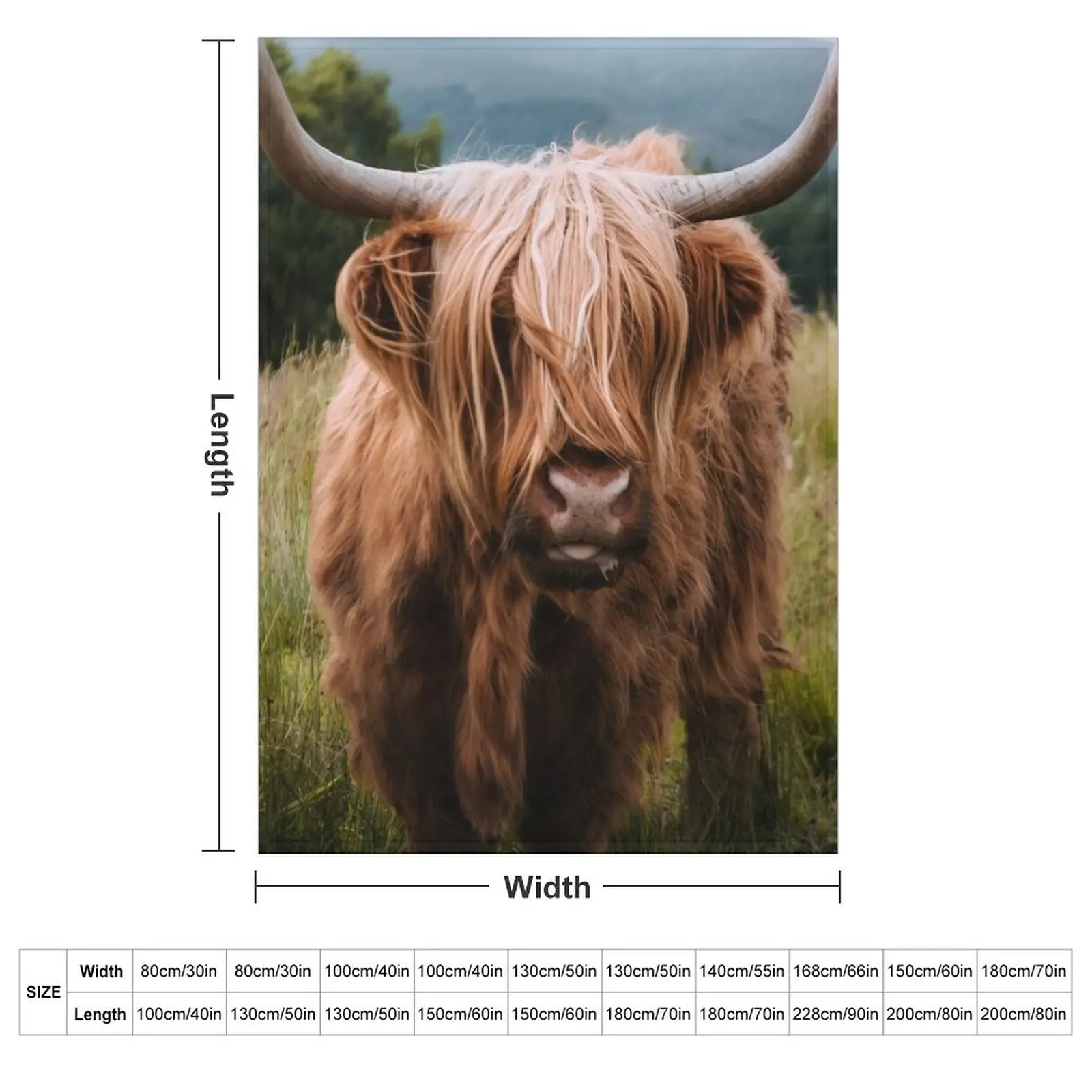 Wooly Cow a?? Scottish Highland Cattle in Scotland Throw Blanket Sofa Quilt Travel Softest Retros funny gift Blankets