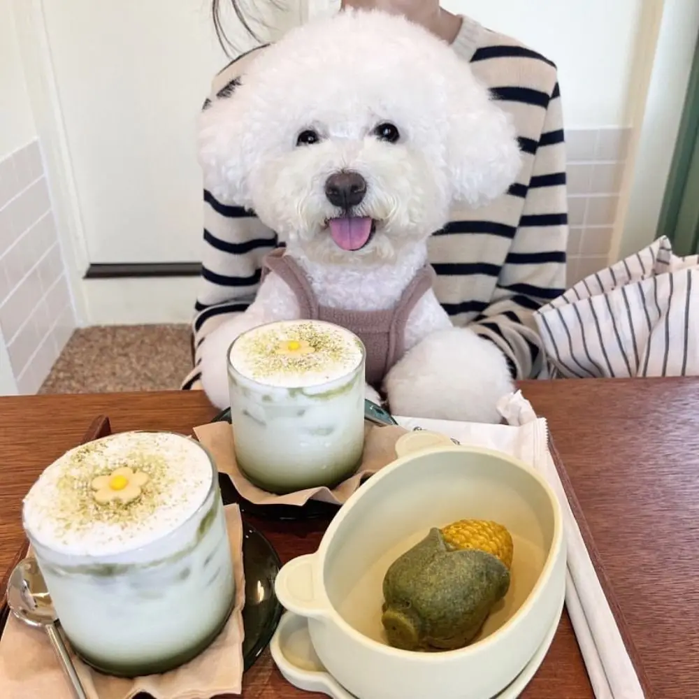 مستلزمات الحيوانات الأليفة، سراويل ناعمة بحزام للحيوانات الأليفة، بيجامات للكلاب قابلة للتنفس، نمط كرتوني، بدلة للكلاب للجرو والقطط #3