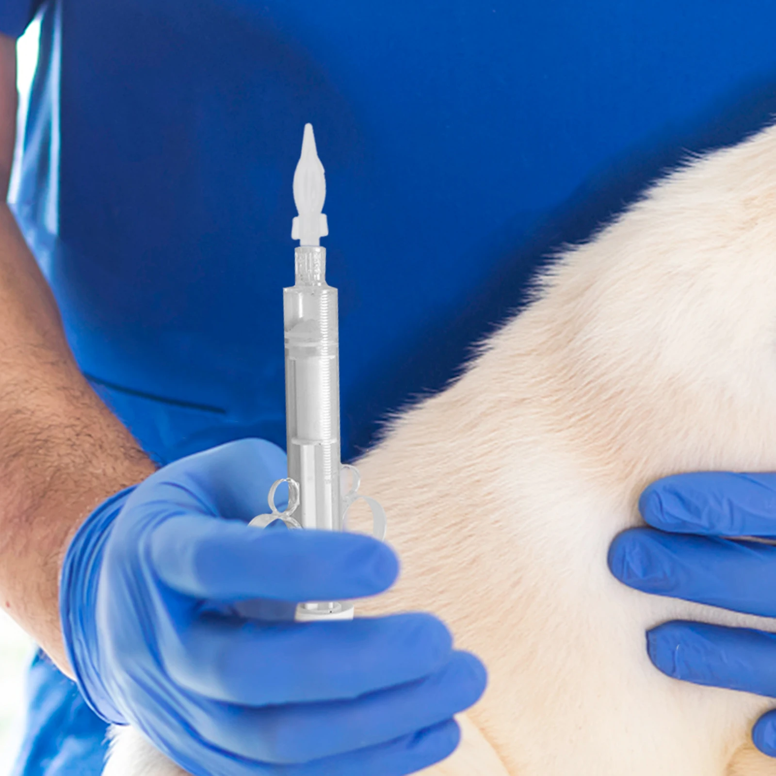 

20Pcs Silicone Pet Feeding Nipples Kitten Pacifier Puppy Nipple Feeder Nursing Supplies Puppy Kitten Feeding Tools Set