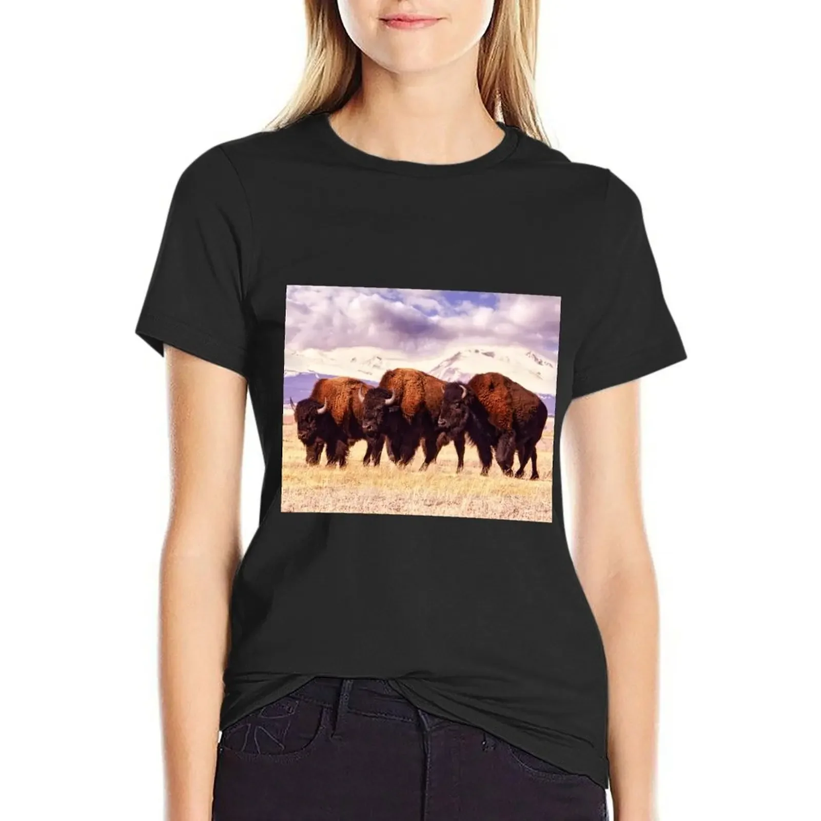 

Three Bison are Grazing in a Field in Colorado, Surrounded by Mountains Covered in Snow T-Shirt