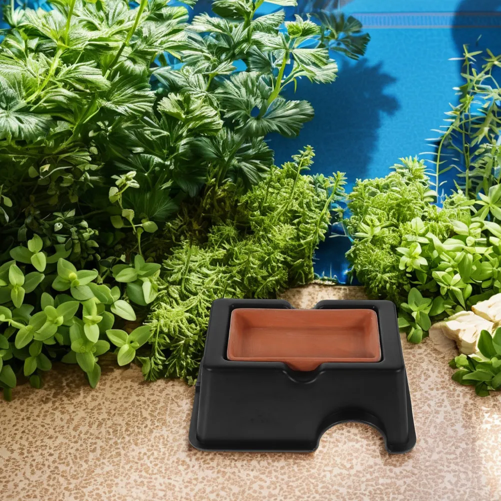 ที่ซ่อนสำหรับตุ๊กแกลายเสือดาว  - Hide Cave Ceramic บทวิจารณ์และราคา