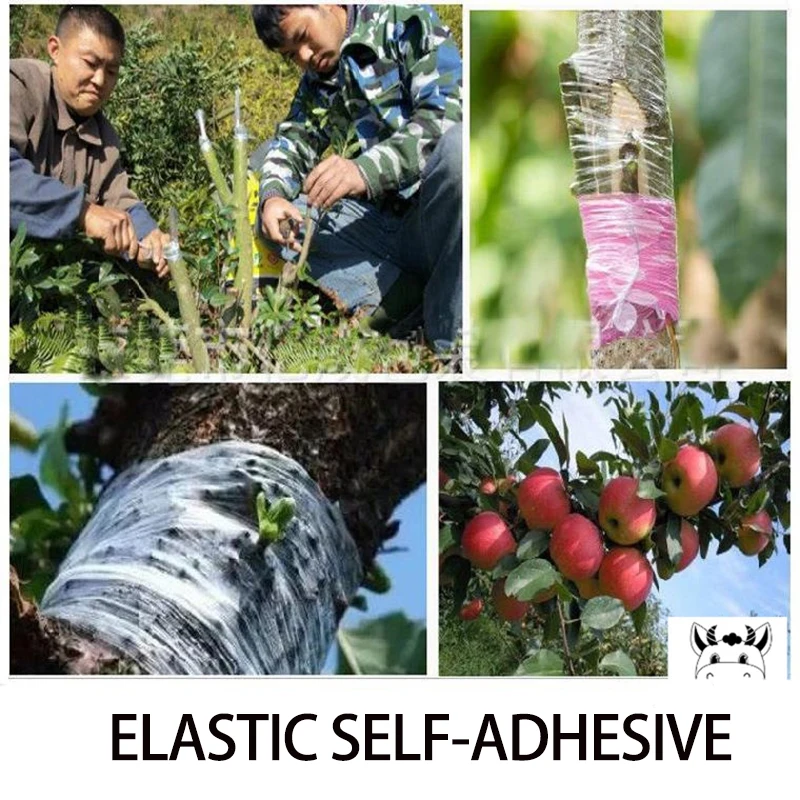 Gartengeräte Obstbaum Gartens chere Transplantat Zweig Garten binden Gürtel PVC Krawatte umwelt freundlich biologisch abbaubar Pfropf band Drtools