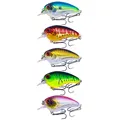 5pcs
