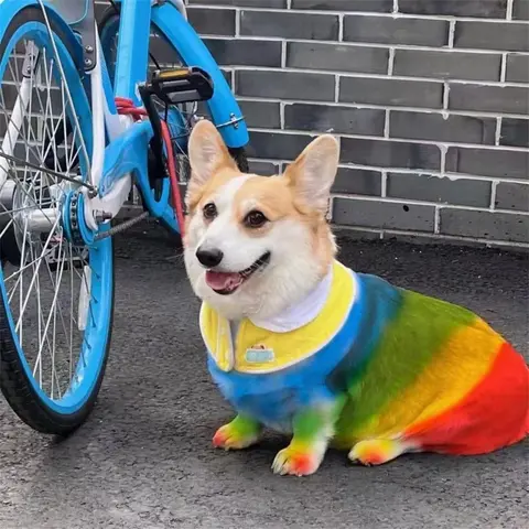 12 रंगों का पालतू बाल डाई, धोने योग्य, सुरक्षित बाल डाई, पालतू जानवरों के लिए अस्थायी रंग, सौंदर्य, बालों की देखभाल, पालतू जानवरों के लिए सौंदर्य किट, पालतू जानवरों के लिए अस्थायी रंग 6 best sales कुत्ते का शैम्पू - №3