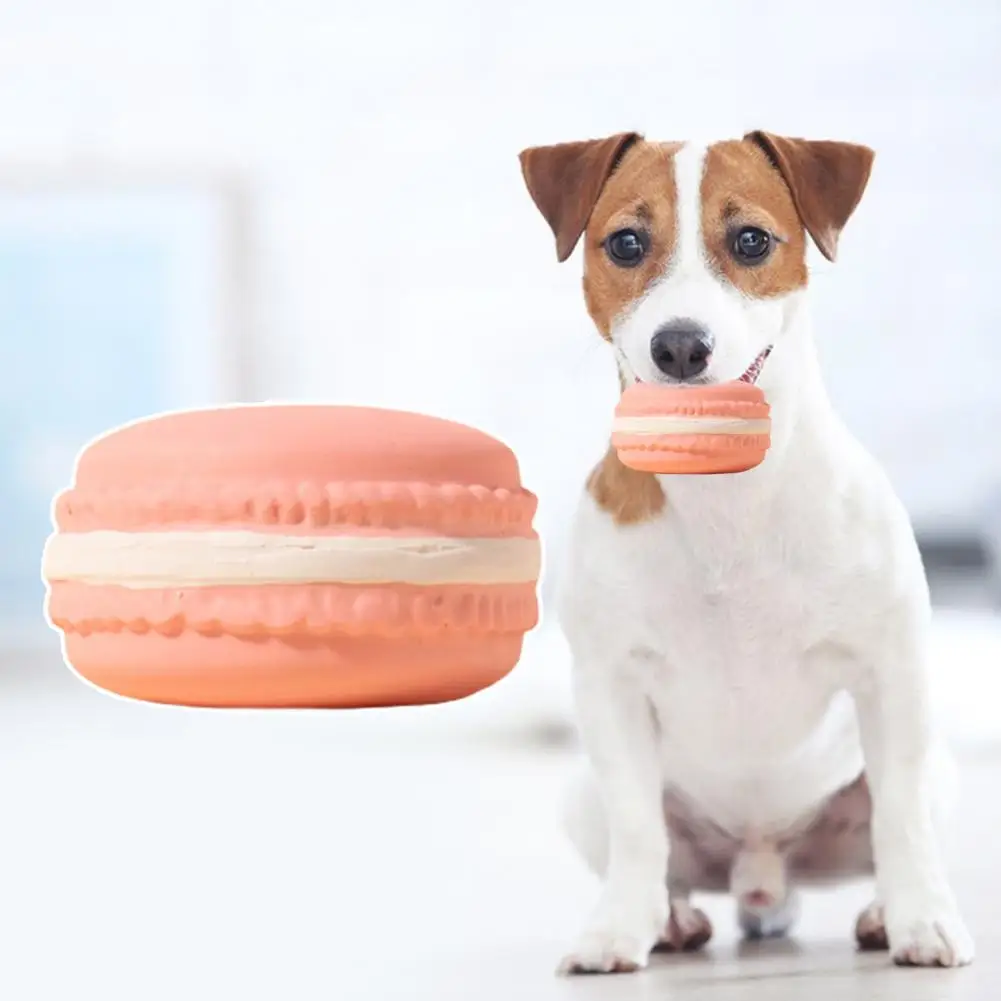 Dog Chew Toy Built-in Squeaker Simulation Biscuit Cake Bite-Resistant Latex Toy Exercise Training Interactive Soft Squeak Toy Sm