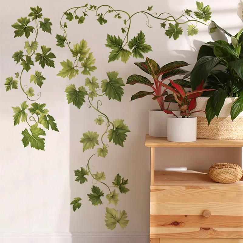 Plant Vine Leaves W…