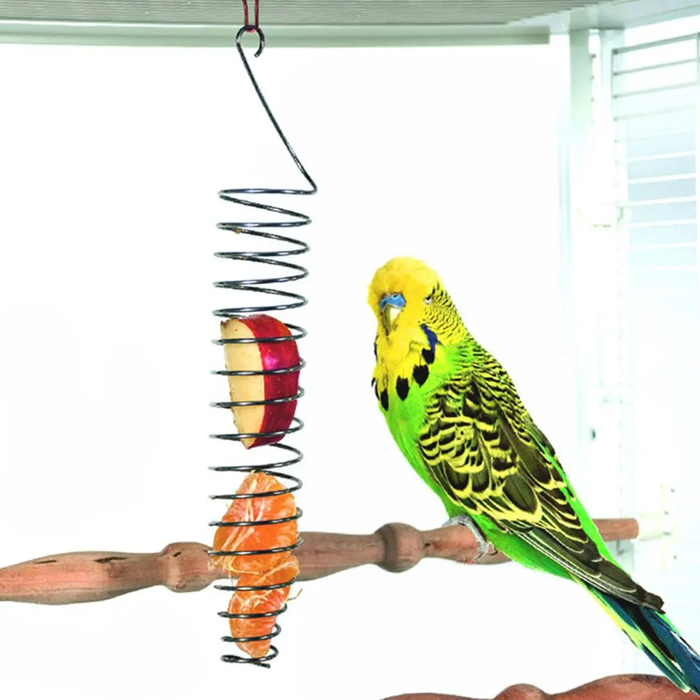 Mangeoire à oiseaux en spirale, porte-fruits soucieux de millet pour perroquet-acier inoxydable