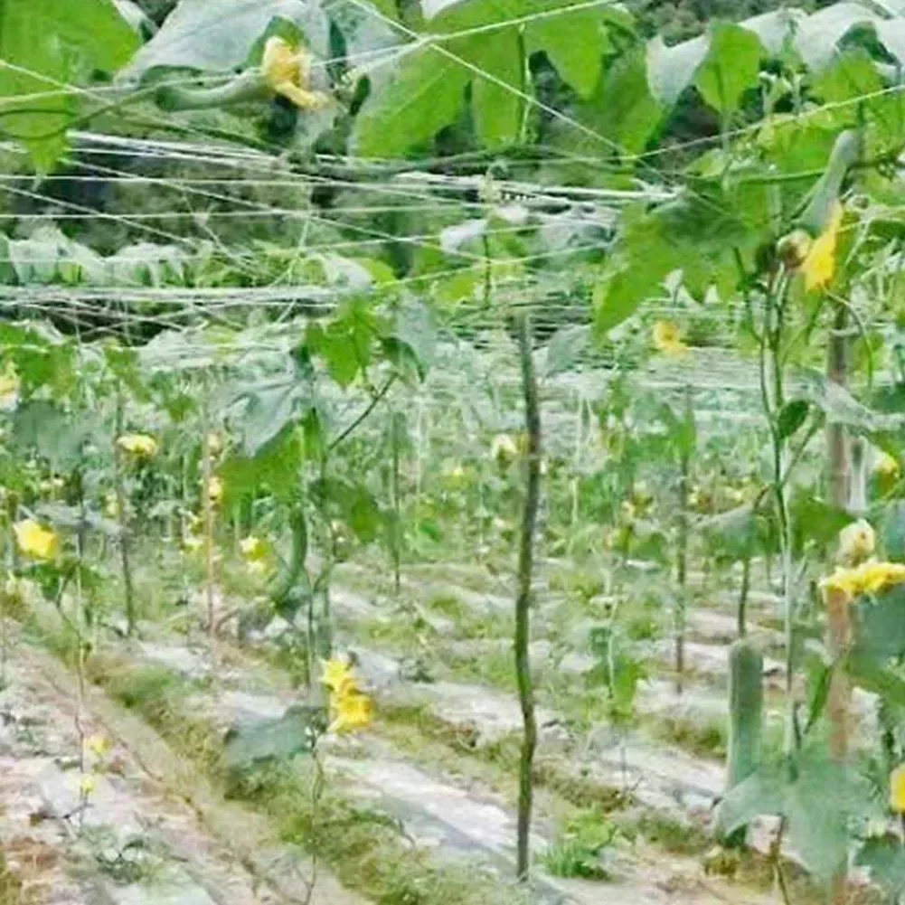 Garden Plant Support Net Fruit Support Trellis Cover Mesh Flowers Vine Grow Holder Support Climbing  Garden Net Access 2Mx100M