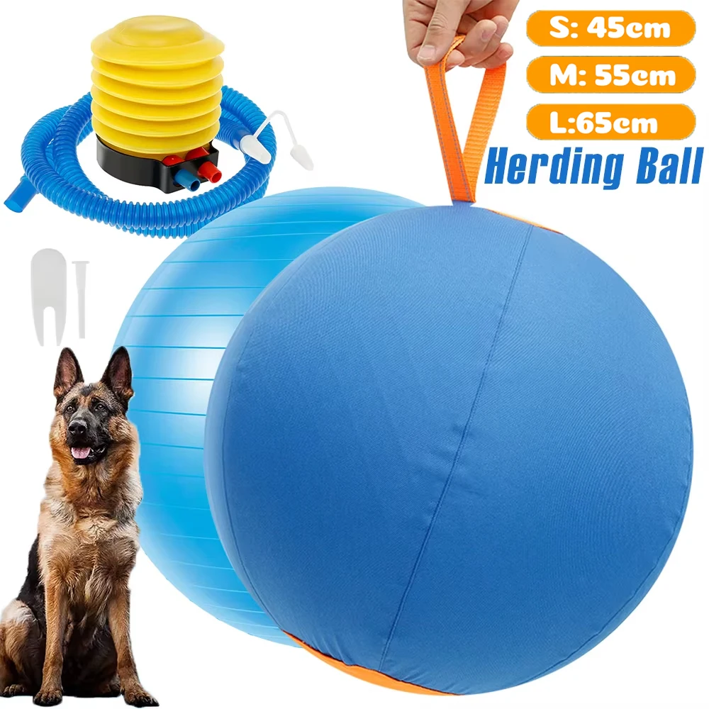#23 Latest Pet Agility Equipment Offers