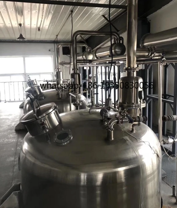 DTQ Series Automatic Food Processing Multi-functional Extracting Tank with Motor 100-1000L Capacity