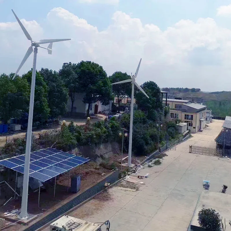 Farm Use Off Grid 3kw 5000w Wind Solar Hybrid System z falownikiem i akumulatorem