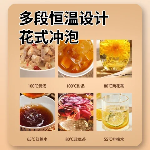 220V Compact Fully Automatic Health-Preserving Electric Kettle with Thermostat Feature