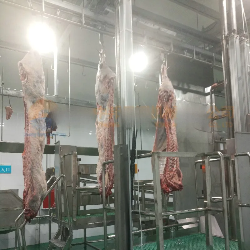 خط ذبح الماشية مطابقة إجراءات ذبح الماشية