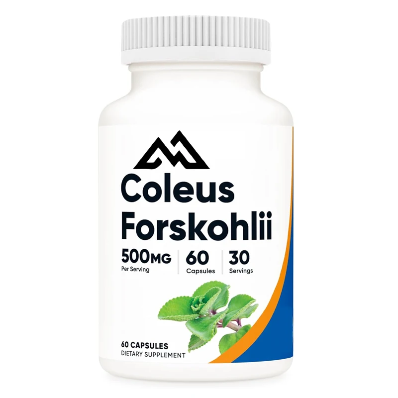 

Natural Forskolin 500mg, 60 vegetarian capsules - powerful formula