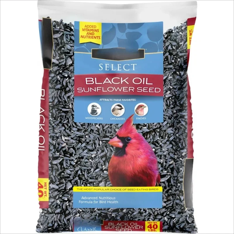 

10 lb.Select Black Oil Sunflower Seed Wild Bird Dry Feed, New Bag,Popular,Free shippment