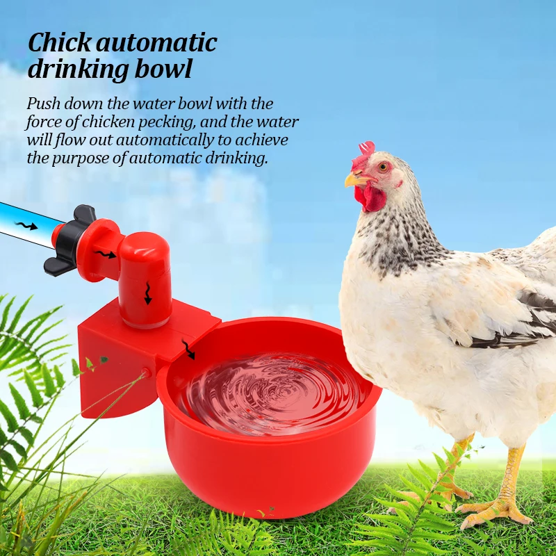 10 Pcs Automatic Chicken Drinker Bowl Drinking Cup Feeder Plastic Poultry Bowls for Chicks Duck Gooseturkey Water Feeding System