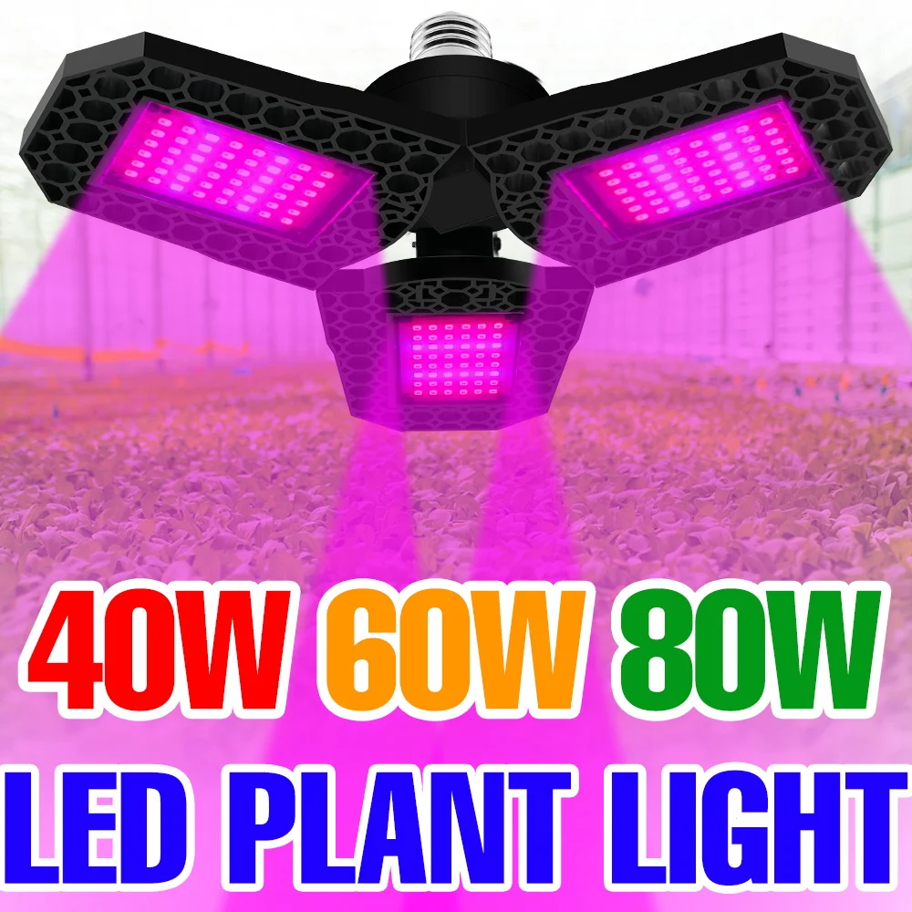 

Светодиодная лампа для растений 80 Вт, полный спектр, для гидропоники, теплиц, выращивания овощей и цветов в помещении