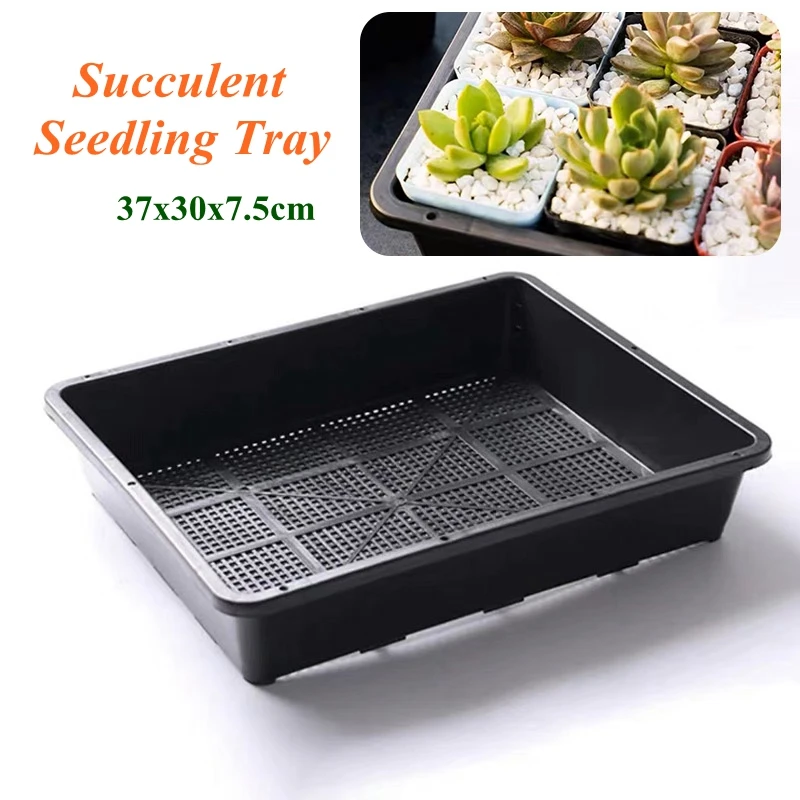 

3/5Pcs Flower Propagator Succulent Seedling Tray Vegetable Plant Seed Strong Starting Grow Box Large Flowerpot Garden Tool