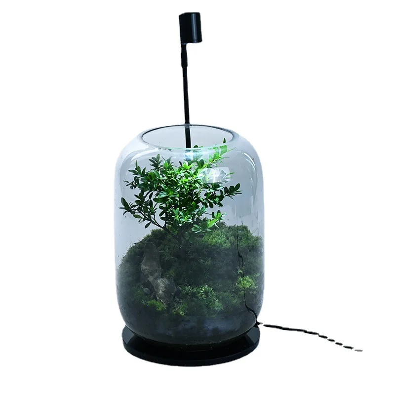 Xiaoye Chinan Glass Flower Container Moss Creative Micro Landscape Desktop Bonsai Moss Landscape Jar